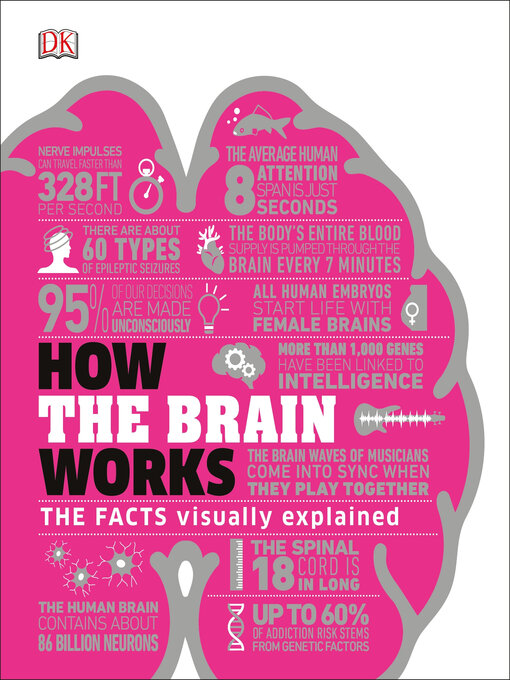 Cover image for How the Brain Works